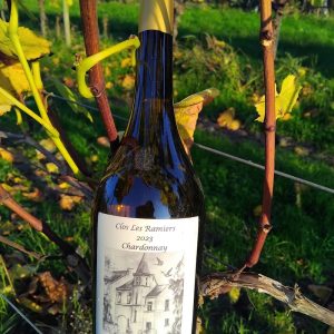 Chardonnay 2023